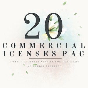 COMMERCIAL LICENSE for small business for twenty products