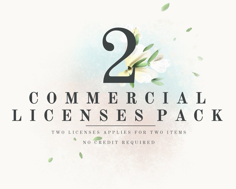 COMMERCIAL LICENSE for small business for two products image 1