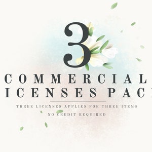 COMMERCIAL LICENSE for small business for three products