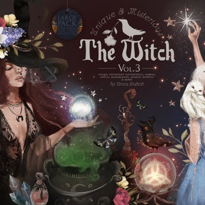 May include: A digital illustration set featuring a witch with a black hat and a cauldron, a white owl, and a crystal ball. The set is titled "Unique & Mysterious The Witch Vol. 3" and is by Anna Babich.