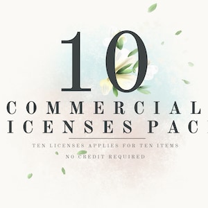 COMMERCIAL LICENSE for small business for ten products