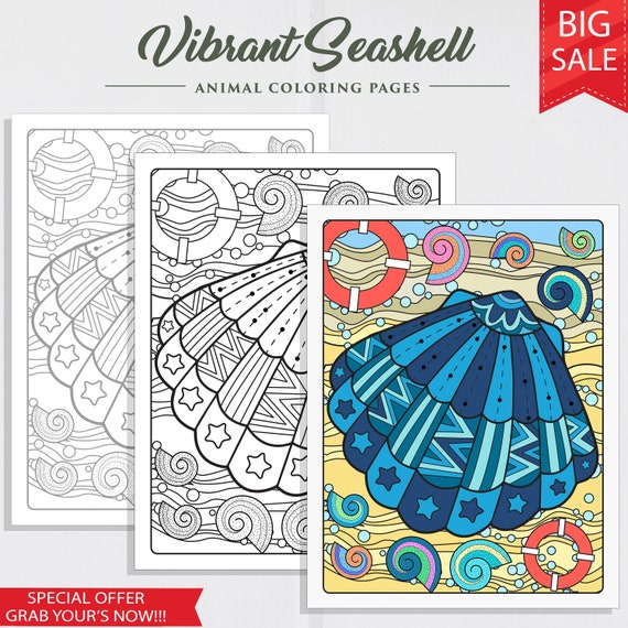 Vibrant Seashell Printable Coloring Page Coloring for Adults