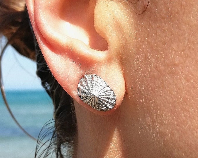 Seashell earrings / Sterling silver / Beach earrings / Beach jewelry / Gift for surfer girl /  Surf earrings