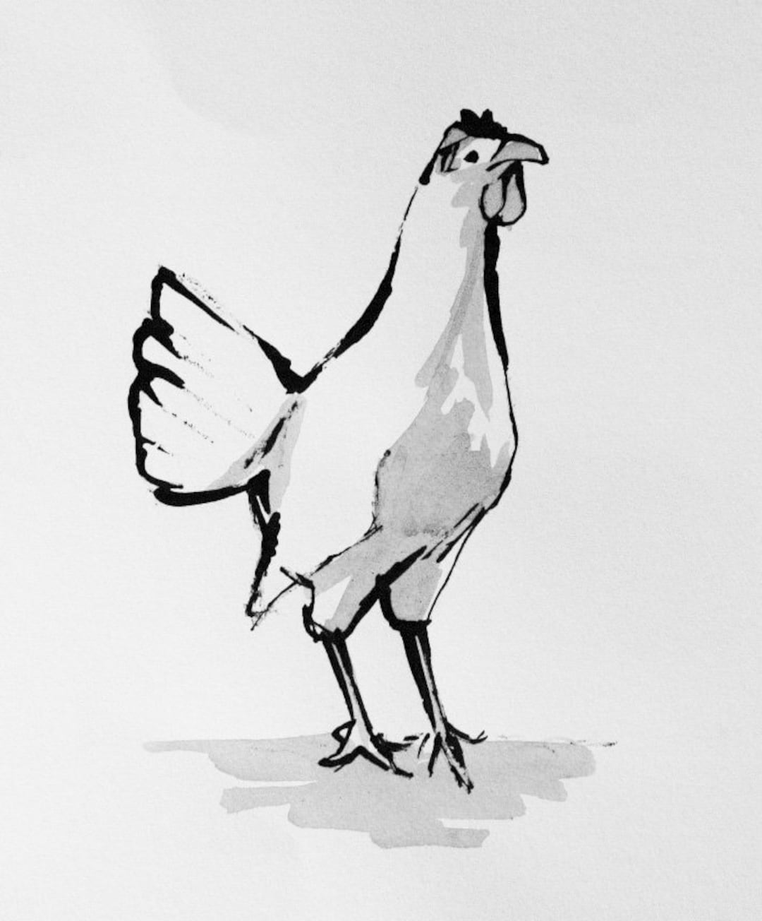 Chicken Shadow Ink Chicken - Original Ink and Wash Sketch by the Scottish Artist Micaela ...