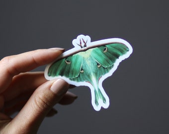 Moth Sticker, Butterfly Botanical Nature Vinyl sticker - Luna Moth