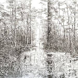 Cypress Log Road, Luisiana, cajún