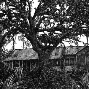 May include: A black and white pen and ink drawing of two small wooden houses with a large oak tree in the foreground. The houses have a porch and are surrounded by foliage.