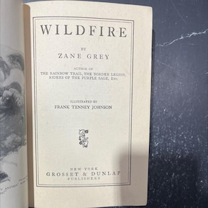 wildfire book, by zane grey, 1917 Hardcover RARE-R65-B7-F_12