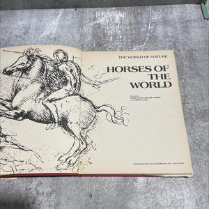 the world of nature horses of the world book, by pamela macgregor morris, nereo lugli, 1973 Hardcover RARE-R67-B8-A_62