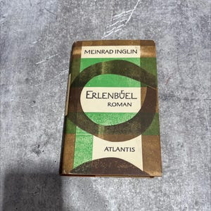 erlenbüel book, by meinrad inglin, 1965 Hardcover RARE-R69-B7-B_55