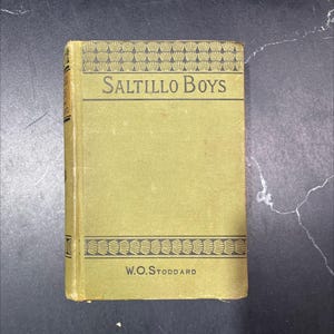 saltillo boys book, by william o. stoddard, 1886 Hardcover, First Edition, Antique RARE-R69-B7-E_13