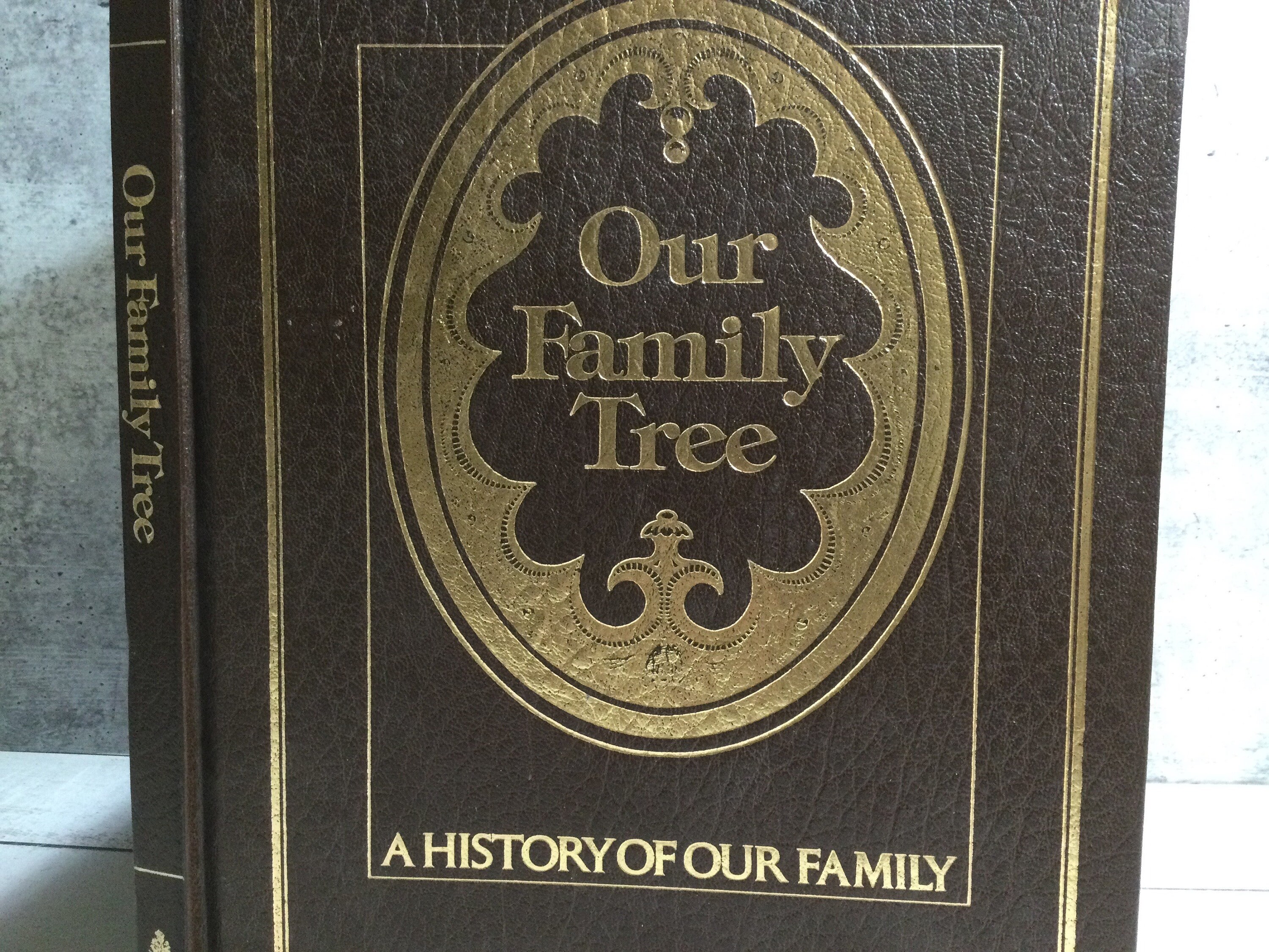 Our Family Tree: A History of Our Family [Book]