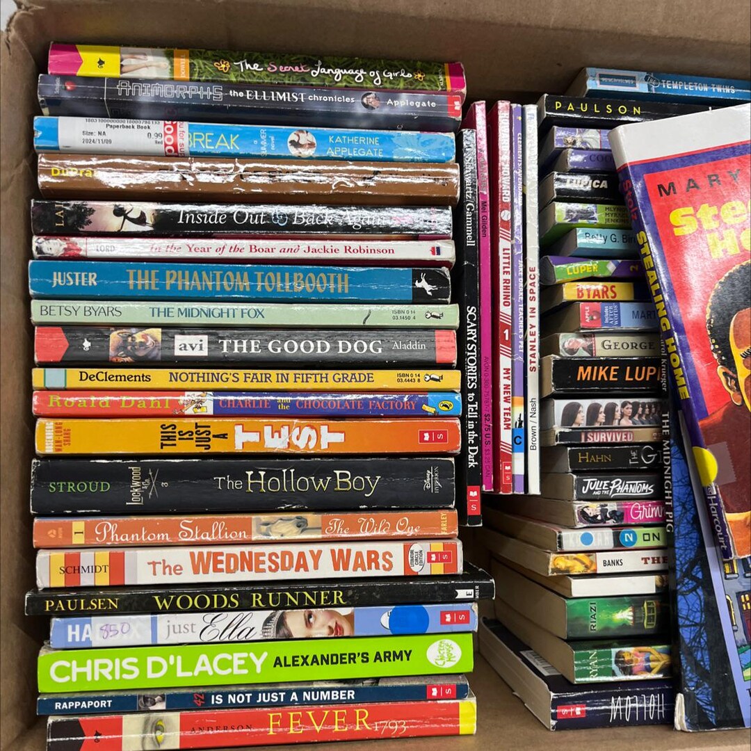 Mixed Chapter Book Box, Roald Dahl, Amnimorphs and More 50 Books ...