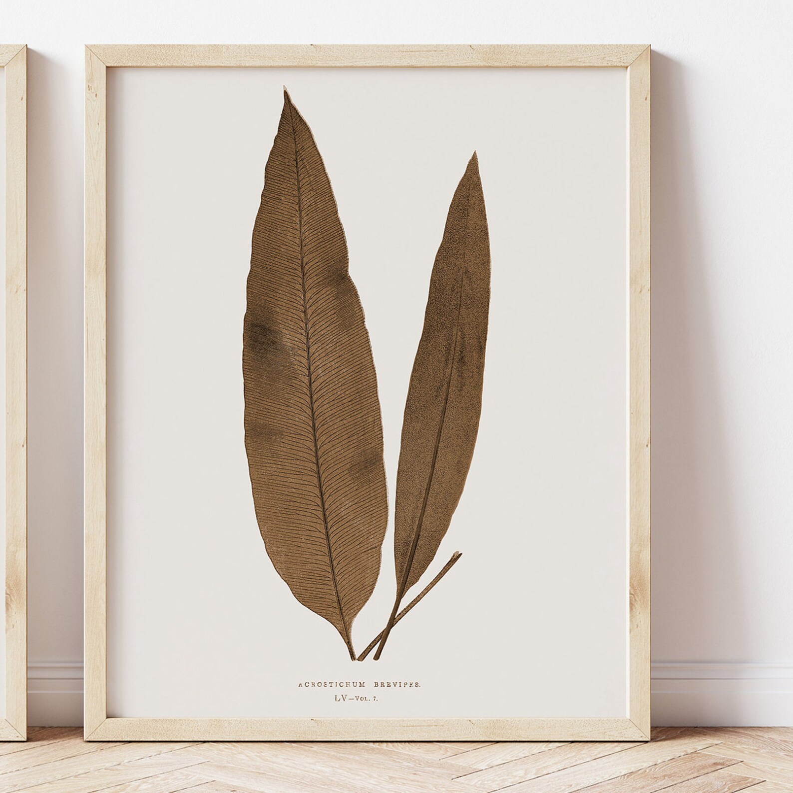 Sepia Tone Prints Botanical Art Set of Two Prints Printable Etsy