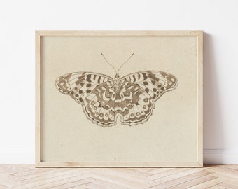 Vintage Butterfly illustration Print, Printable Art Print, Multiple Sizes