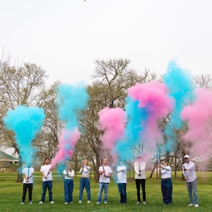 3 Pink & 3 Blue Gender Reveal Powder Poppers 6 Piece (12 inch), No Mess 100% Biodegradable Unique Gender Reveals Ideas, Baby announcement