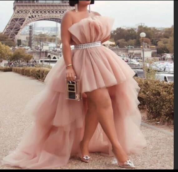 Tulle Prom Dress/ Tulle Dress Long 