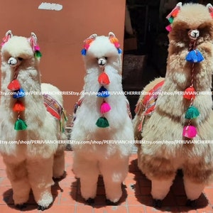 ★アルパカ 巨大 ぬいぐるみ☆ 楽天市場】【クーポンあり】アルパカ ぬいぐるみ 特大 大サイズ