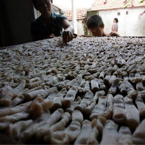 Dried Sea Peanut Worms AA AAA Grade Dried Sipunculus Nudus Sá Sùng Khô Shāchóng Secret Recipe for Sweetening Soups image 9