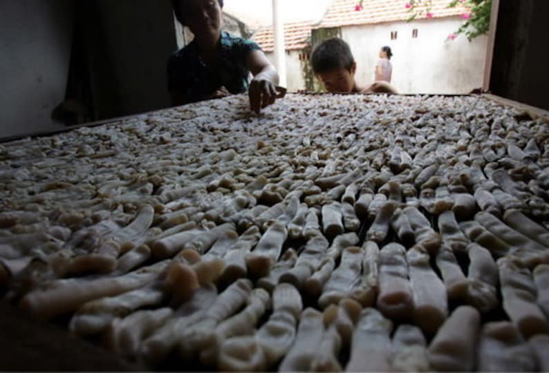 Dried Sea Peanut Worms AA AAA Grade Dried Sipunculus Nudus Sá Sùng Khô Shāchóng Secret Recipe for Sweetening Soups image 9