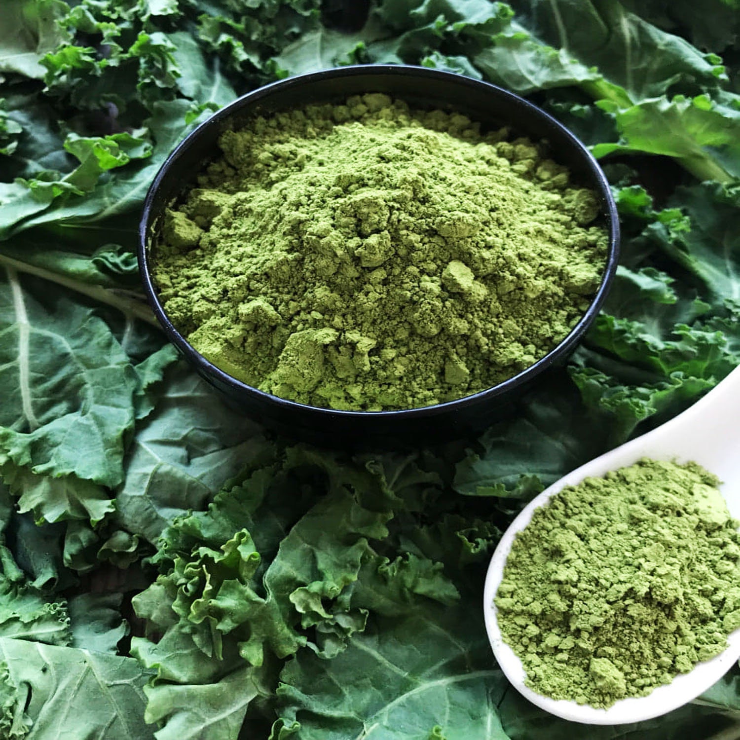 100 Freezedried Raw Kale Powder Nutritious Vegetable Etsy