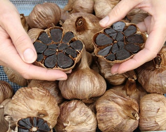 Organic Natural Black Garlic |  Fresh Natural Garlic From Vietnamese Farmers | Green Garlic