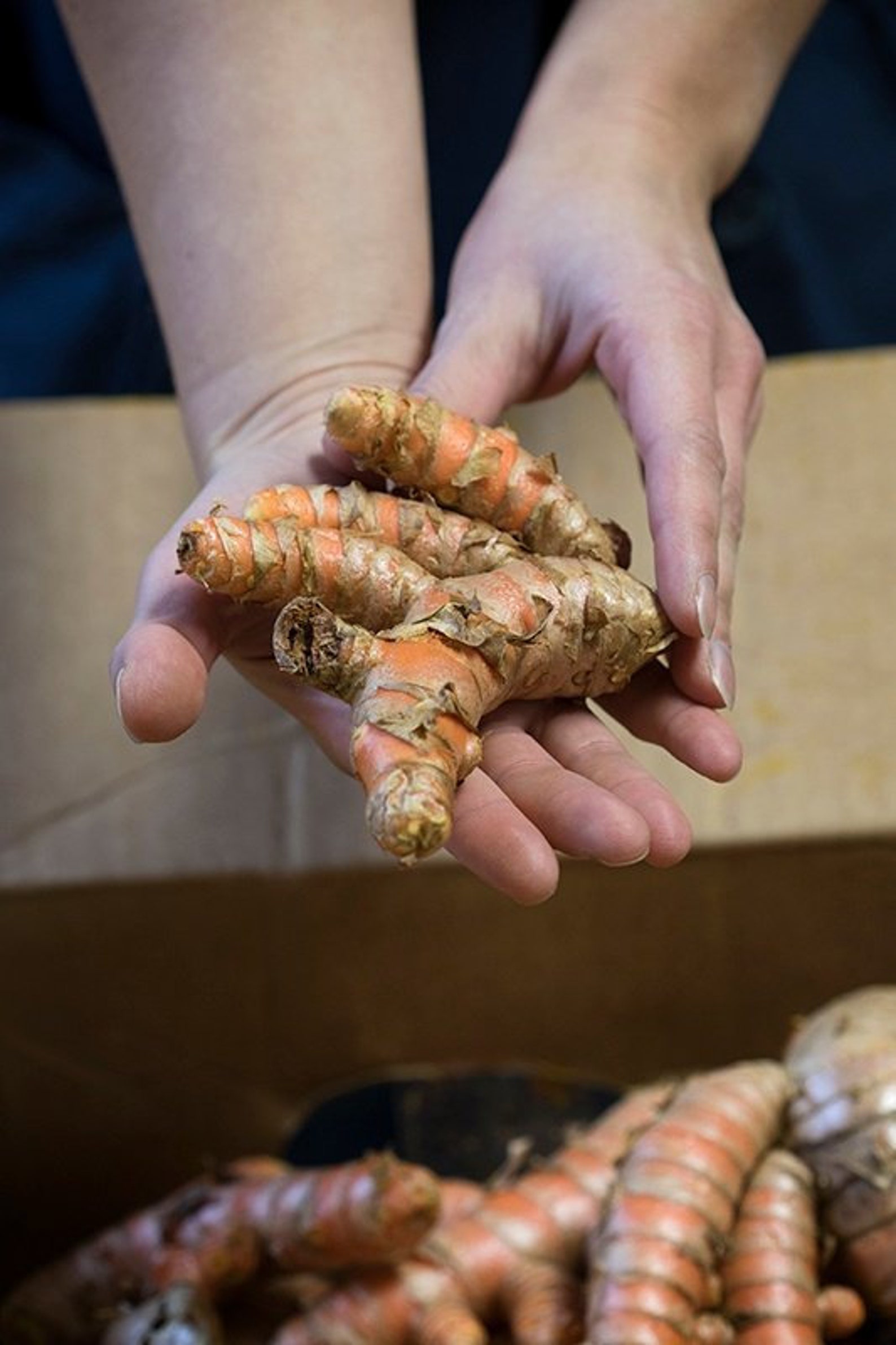 Organic Fresh Red Turmeric turmeric Root Natural Fresh Red Etsy