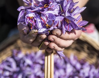 Organic Certificated Greek Saffron - Natural Hand Picked Saffron