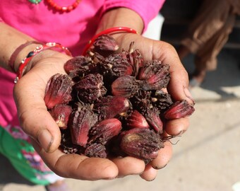 Organic Black Cardamom |Black Cardamom Pods Whole | Cardamom | Great Quality | Best Quality of Black Cardamom.