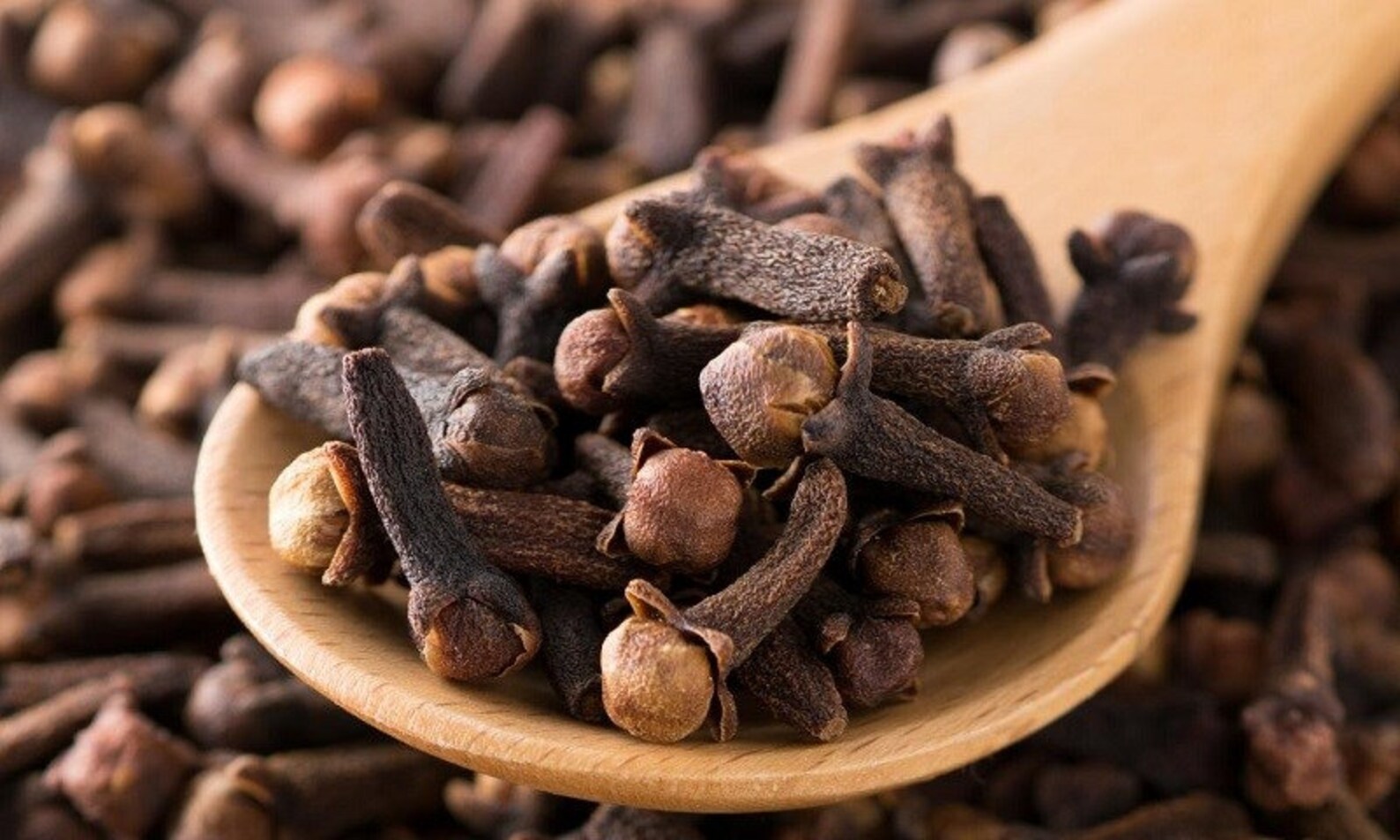 Wild Organic Cloves Natural Wild Cloves From Northen Vietnam Etsy