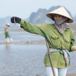 Dried Sea Peanut Worms AA AAA Grade Dried Sipunculus Nudus Sá Sùng Khô Shāchóng Secret Recipe for Sweetening Soups image 3