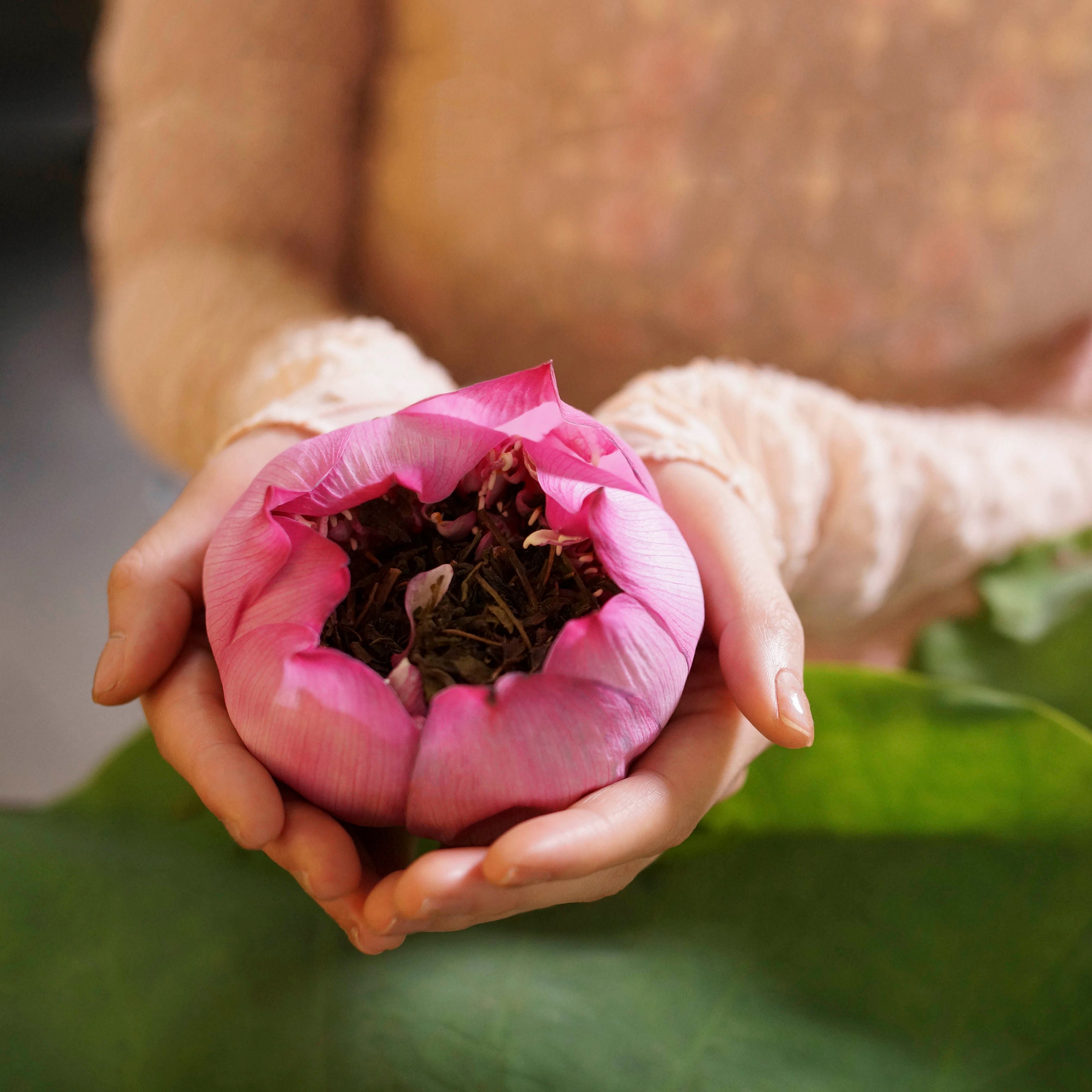 Organic Fresh Lotus Tea Calmity Tea Zen Tea Etsy