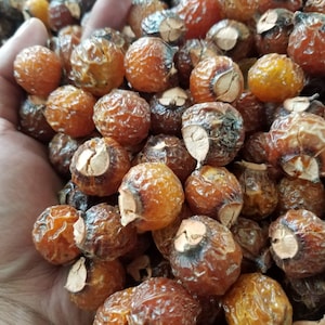 100% Organic Soap Nuts | Soap Berries | Sapindus Saponaria | Natural Laundry Detergent and Softener