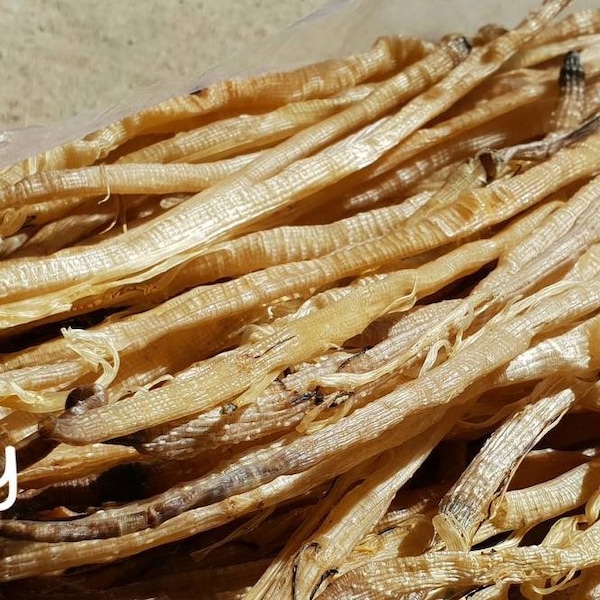 Dried Sea Peanut Worms AA - AAA Grade | Dried Sipunculus Nudus | Sá Sùng Khô | Shāchóng | Secret Recipe for Sweetening Soups