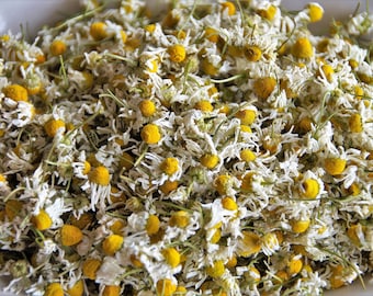 Organic Roman Chamomile Flower Tea | Natural Roman Chamomile Herbal Tea | Relaxing Chamomile Tea