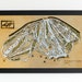 see more listings in the Alpine Drift Wooden Maps section