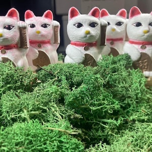 Maneki Neko Figurines