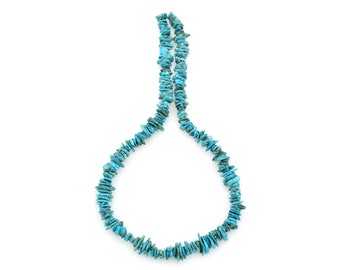 Bluejoy 20mm Genuine Indian-Style Natural Turquoise XL Free-Form Disc Bead 16-inch Strand