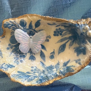 Abgezogene Muscheln