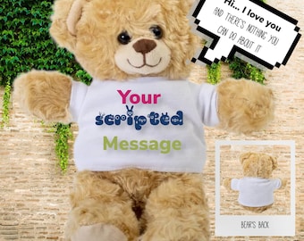 Personalized Teddy Bear, Custom Plushy Bear, Teddy Bear Gift Set, Graduation Gift, Golden Brown Teddy Bear, Memorial First Teddy Bear