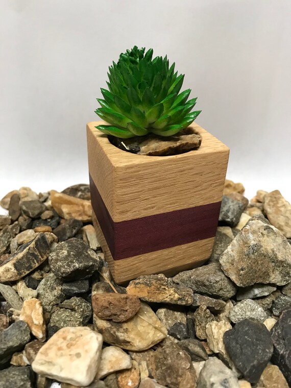Small Wooden Succulent Planter Indoor Image 0