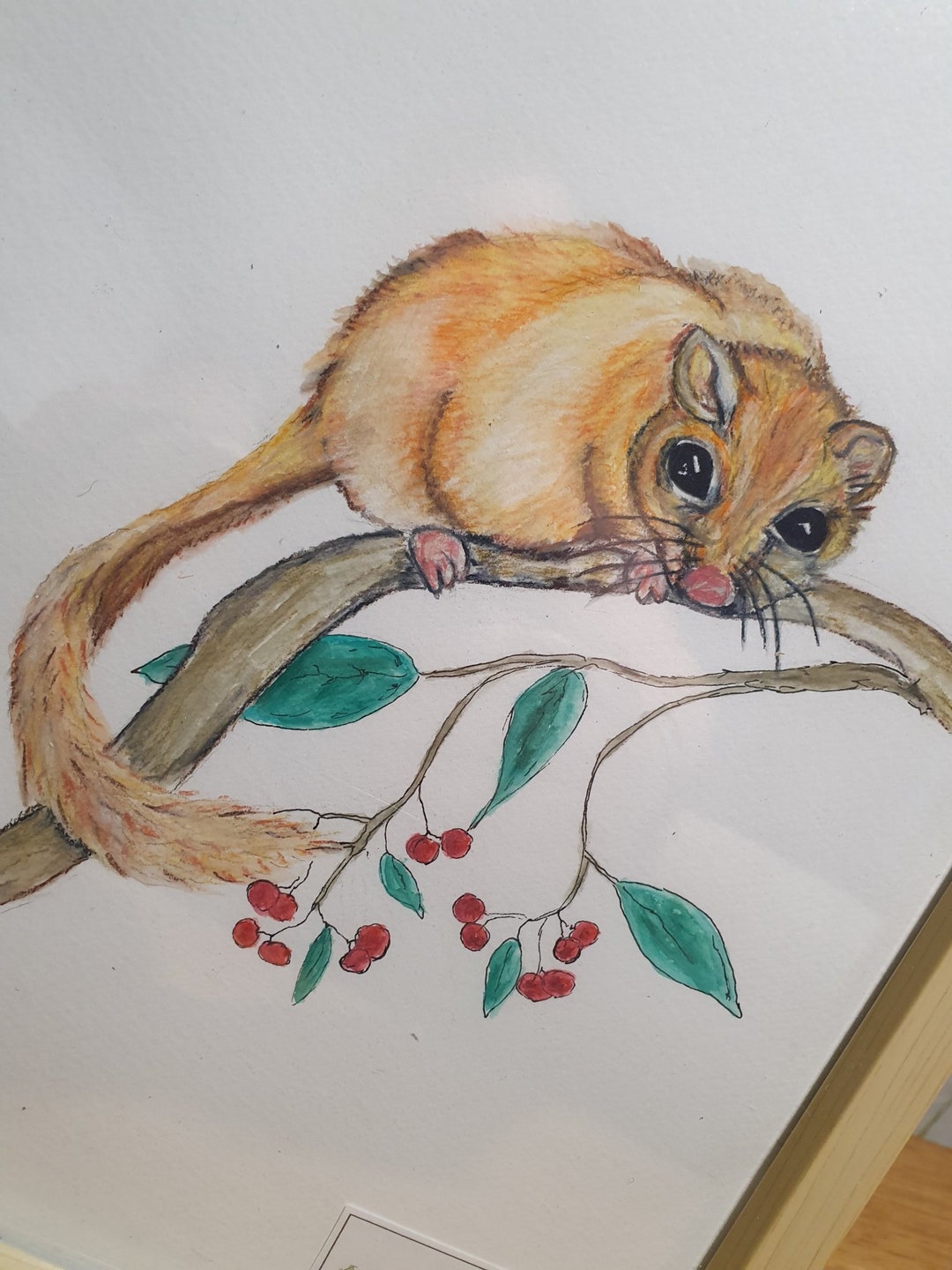 Dormouse Watercolour, Dormouse Art, Garden Wildlife Watercolour