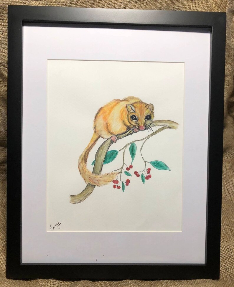 Dormouse Watercolour, Dormouse Art, Garden Wildlife Watercolour