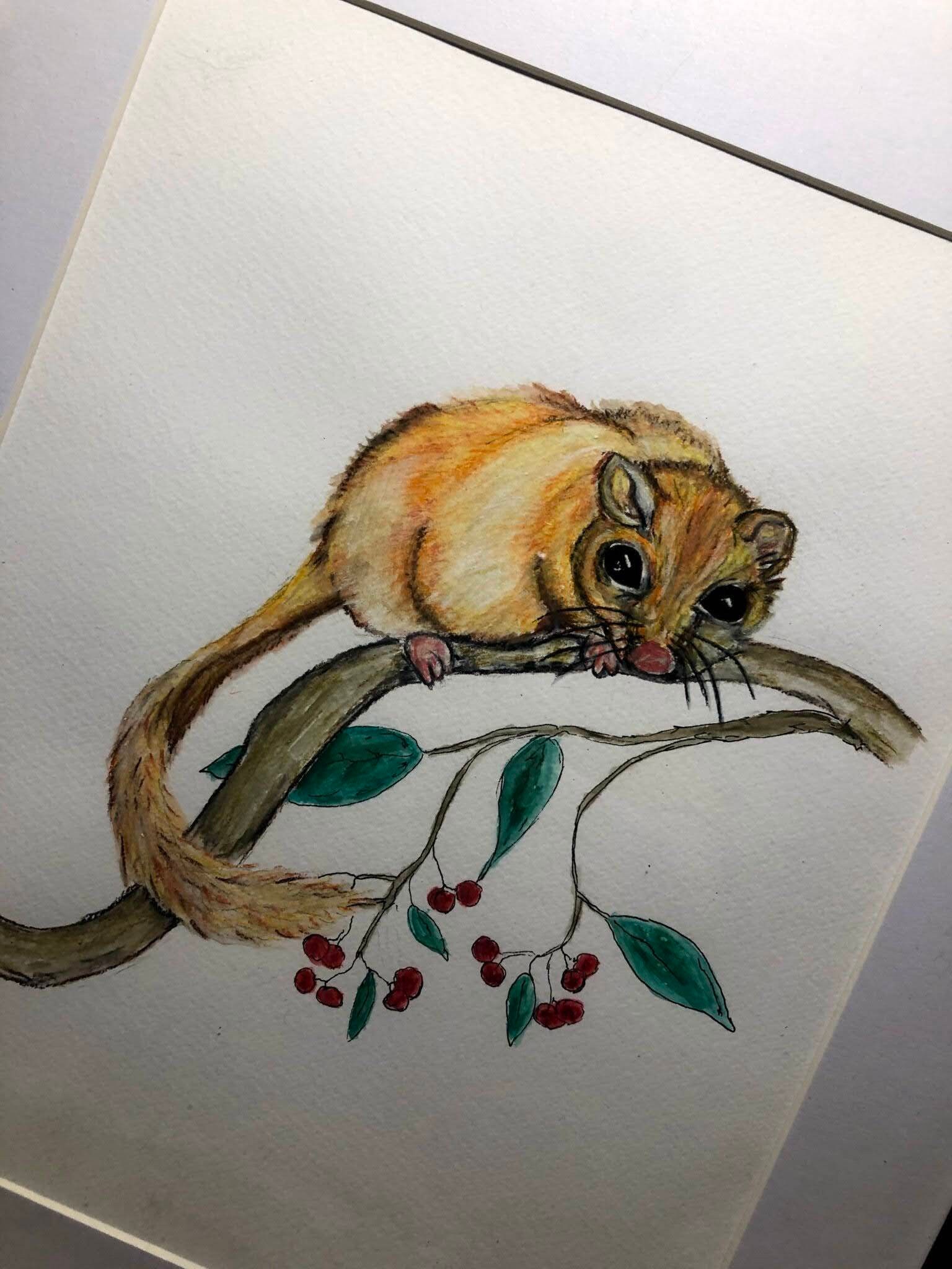 Dormouse Watercolour, Dormouse Art, Garden Wildlife Watercolour