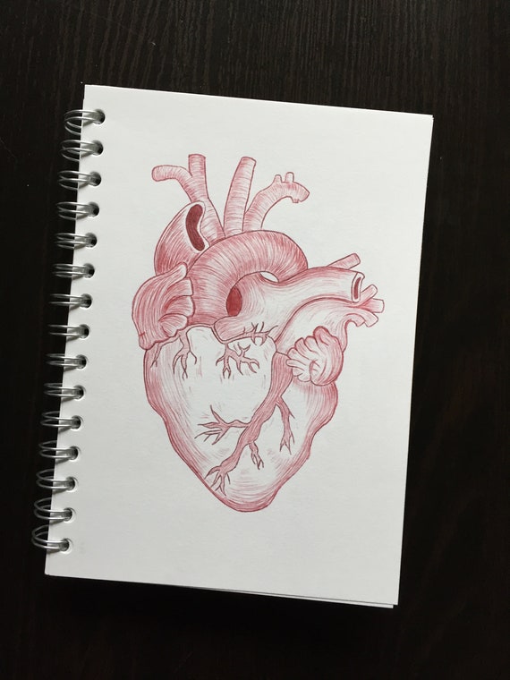 Featured image of post Heart Images Drawing Science / Find the perfect science drawing stock photos and editorial news pictures from getty images.