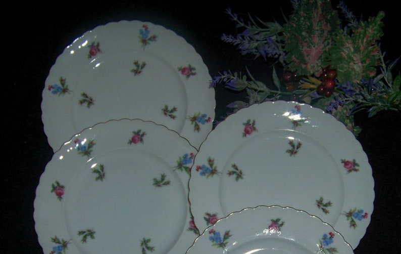 Royal Tettau China Dresden Flowers Gold Rim Bread and Butter Plates 4