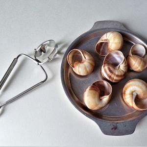 May include: A silver snail tongs and a silver tray with six empty snail shells. The shells are brown and white with a spiral pattern.