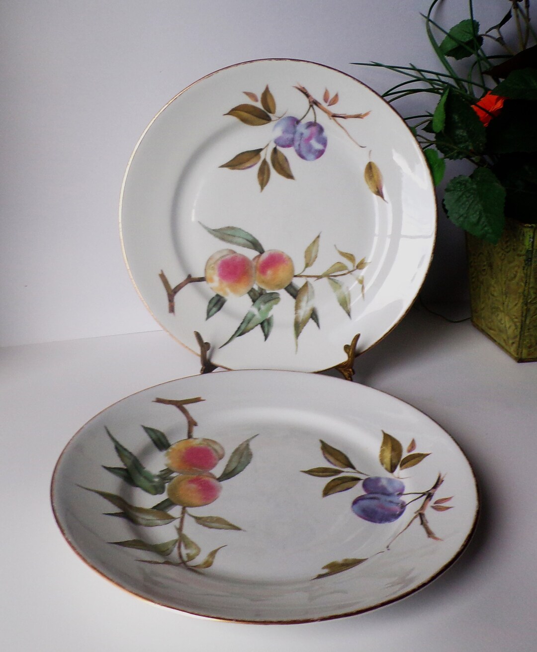 Vintage Royal Worcester China Evesham 10' Dinner Plate Set Etsy