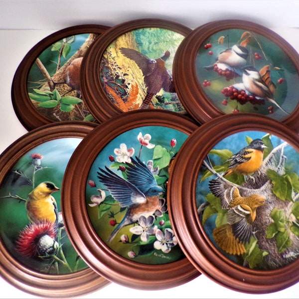 SALE: Edwin Knowles 1986 Framed Birds Of Your Garden Collector Plates