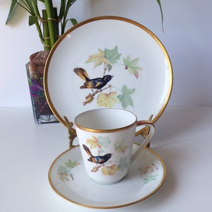 Audubon Redstarts China Trio: Hutschenreuther Selb Salad Plate, Teacup & Saucer